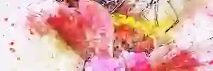 Alex106903's profile banner image