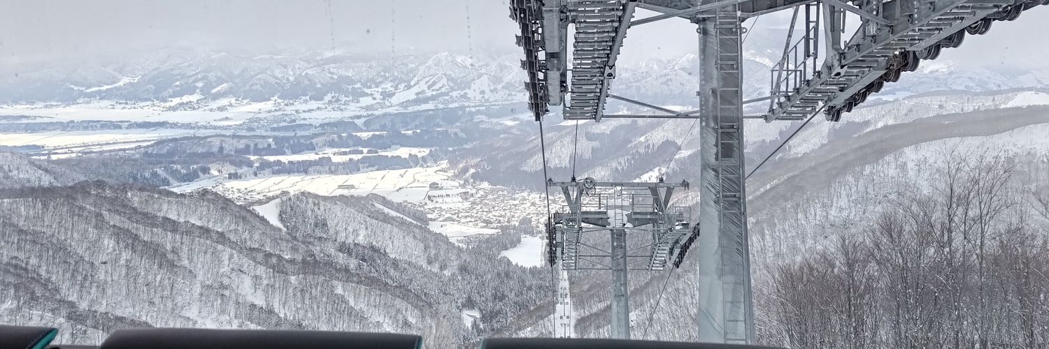 Aurorer Wysteria banner