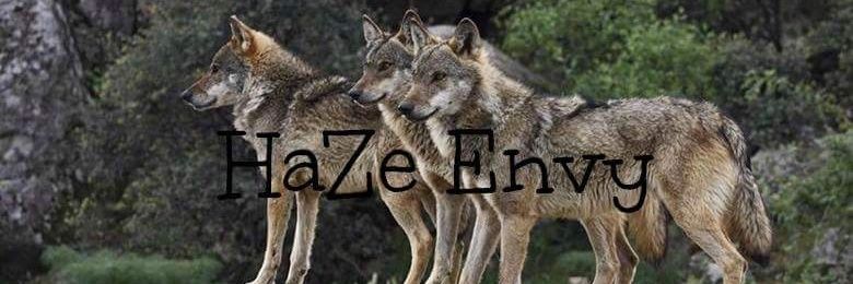 HaZe_Envy's profile banner image