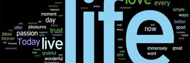 iamearl_1997's profile banner image
