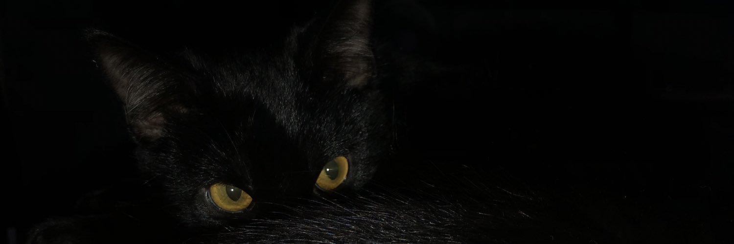 SamPi___'s profile banner image