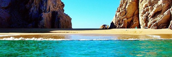 Patricia Thompson banner