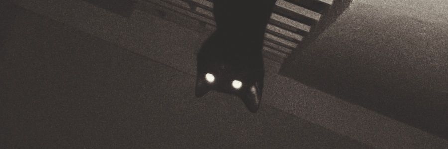 abinanthkj's profile banner image