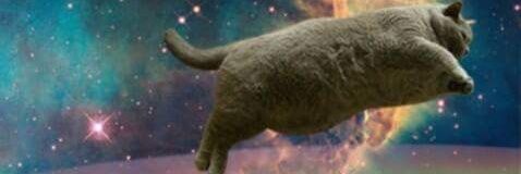 brunoft1D's profile banner image