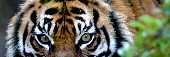 JayDendy6's profile banner image