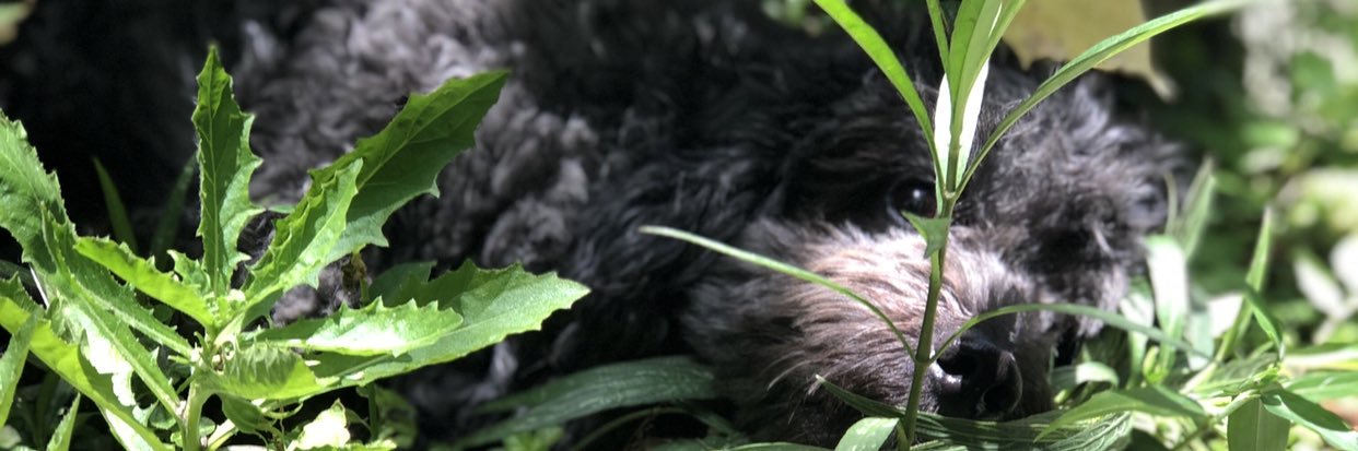 Michelle_NHLLZ's profile banner image