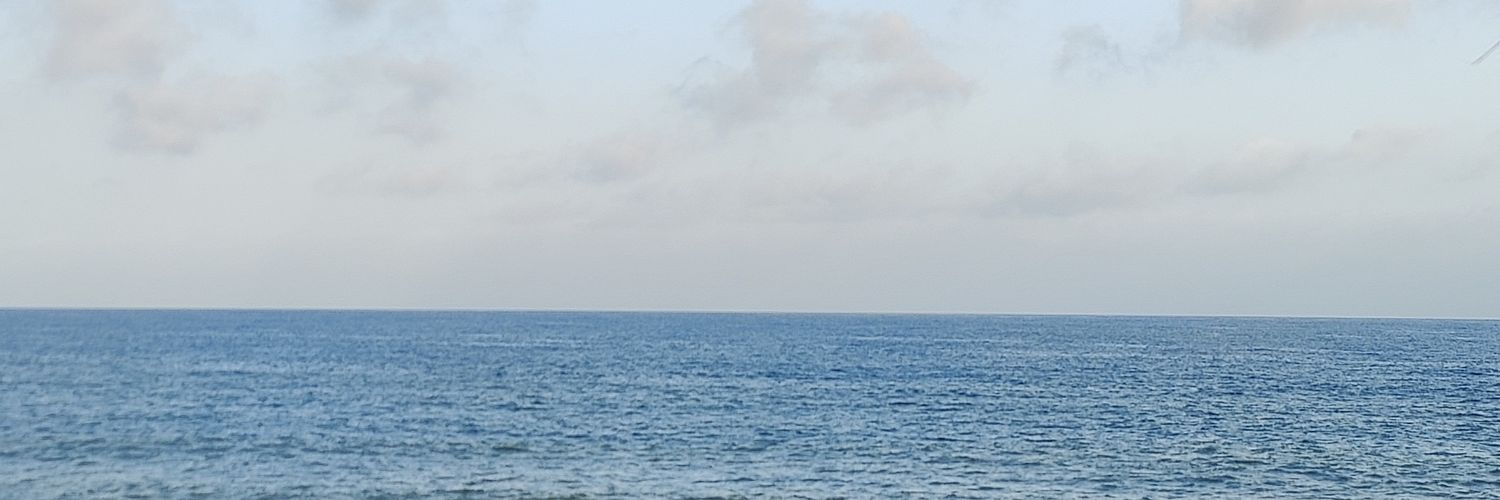 alidragons's profile banner image