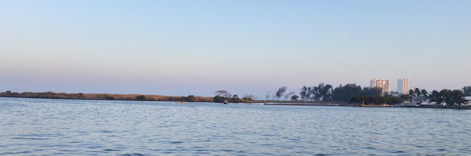 G. banner