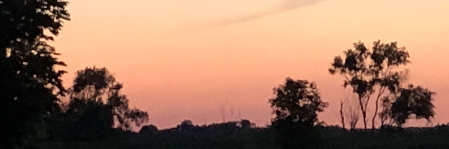 jenrobinson5's profile banner image