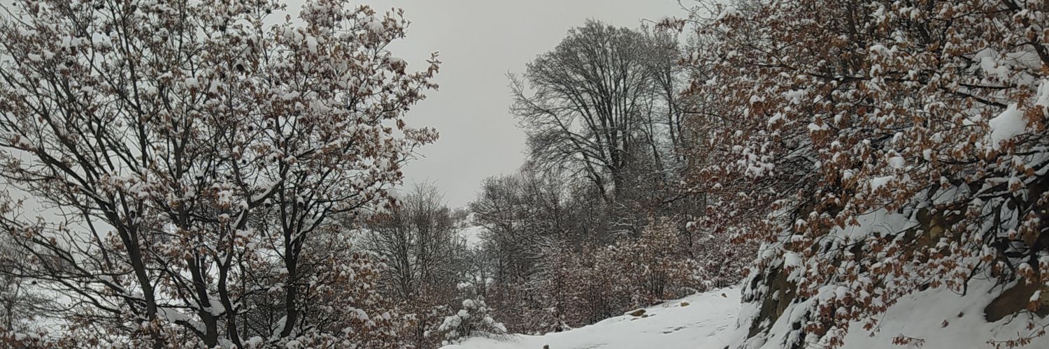 Azbm05's profile banner image