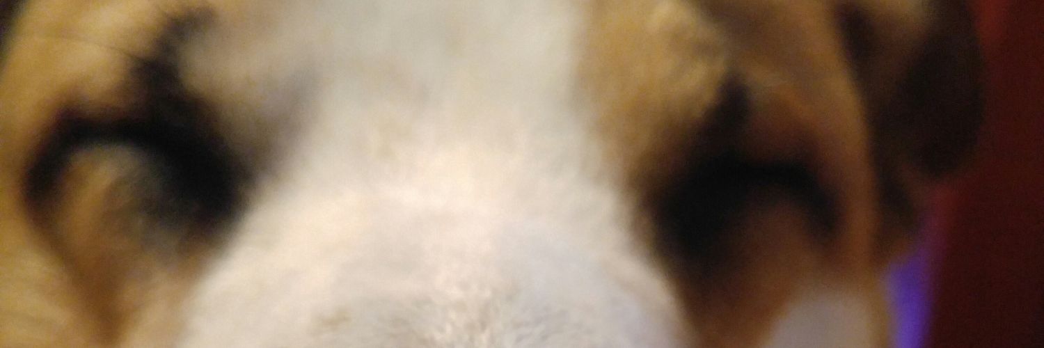 Fede ⭐⭐⭐ banner