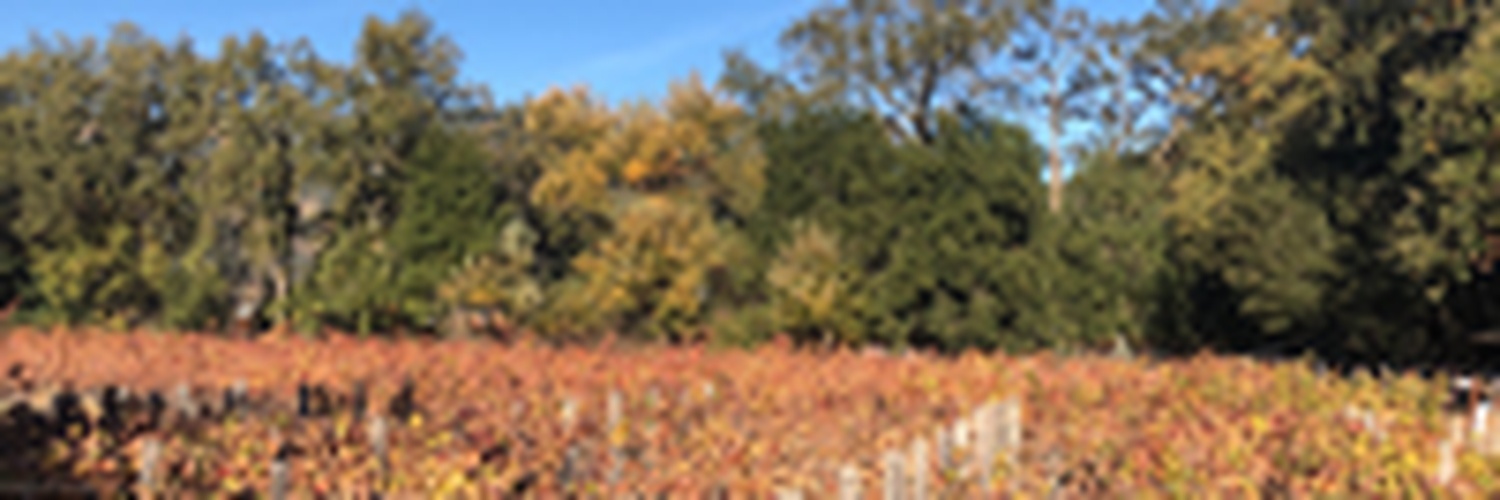 pixelprohq's profile banner image