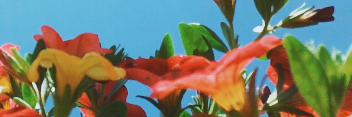 miriogata's profile banner image