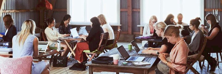 Pink Programming banner