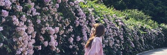erna242's profile banner image