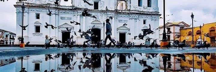 nnelson94's profile banner image