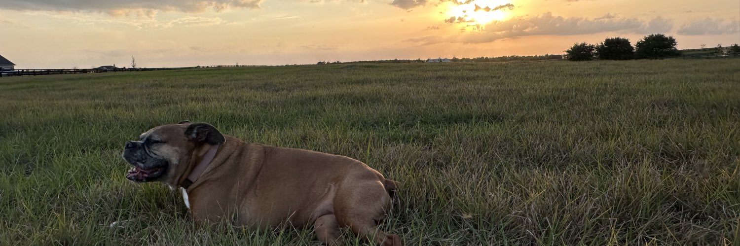 ShaunaCoppola's profile banner image