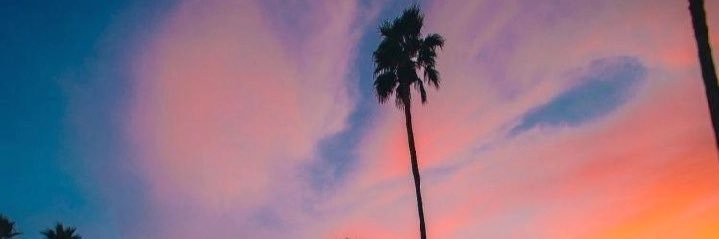 RyleeBundrick's profile banner image