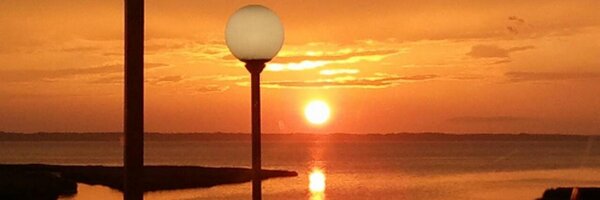 sayssimonpr Profile Banner