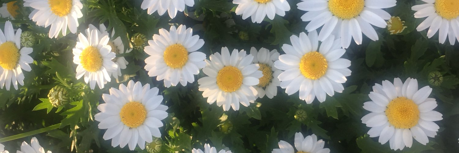 coco____nw's profile banner image