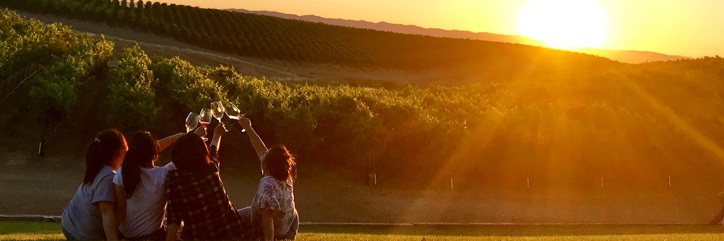 MatchbookWines's profile banner image