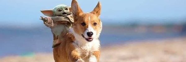 Scruffy_ED Profile Banner