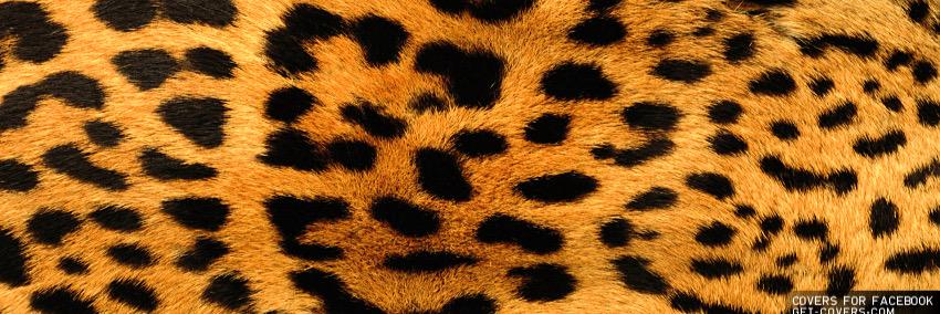 KimGahan's profile banner image