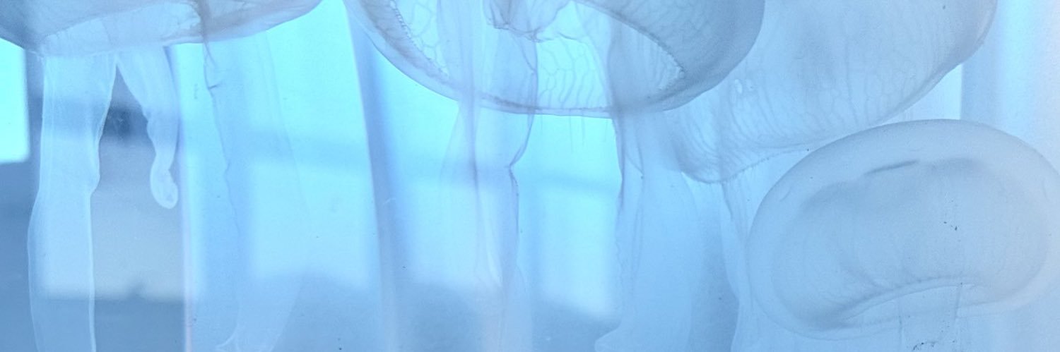 jumpscity's profile banner image