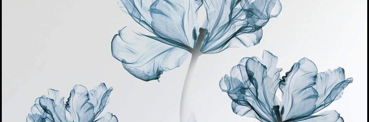 TMilagro_x3's profile banner image