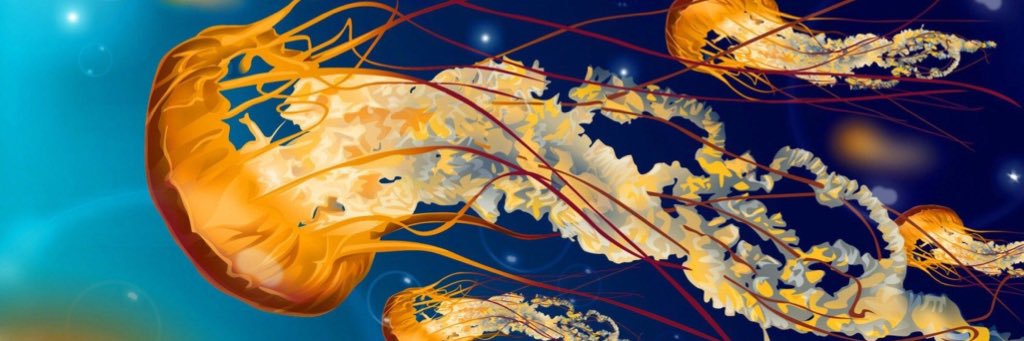 ohthemediocrity's profile banner image