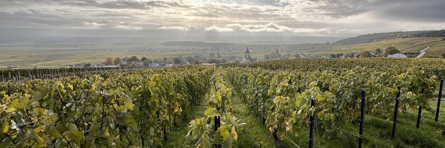 Kendall Thornton banner