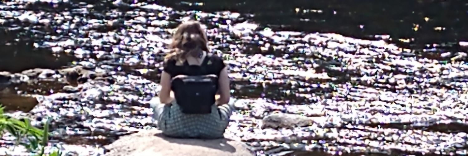 Frances Payne banner