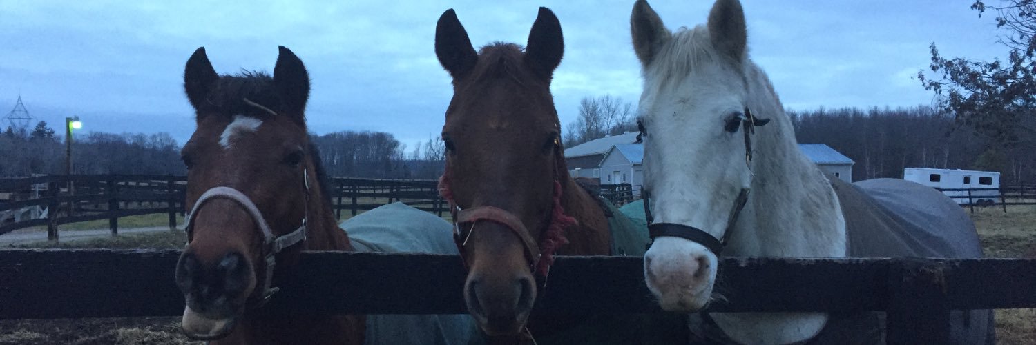 emilylloydxo's profile banner image