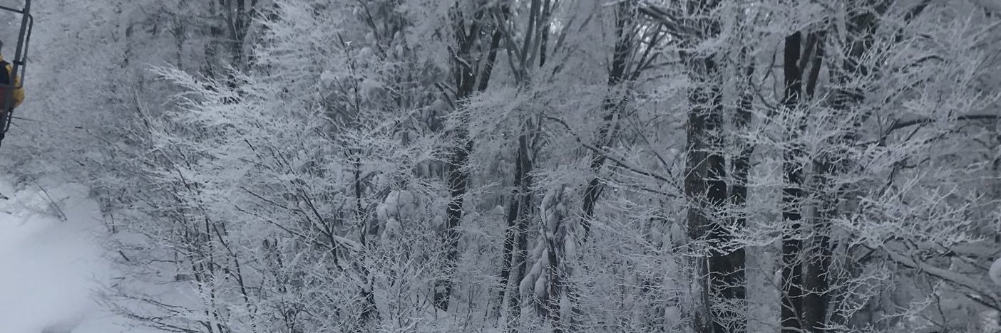 ogashin0712's profile banner image