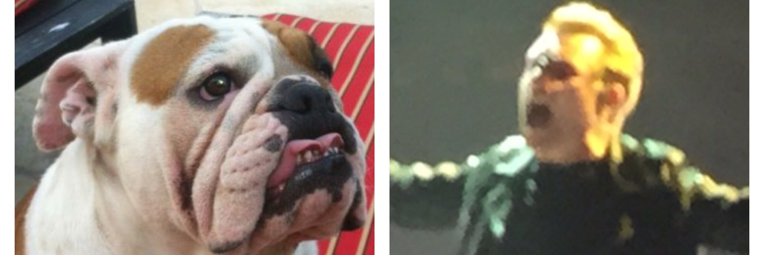 Roxythegreat5's profile banner image