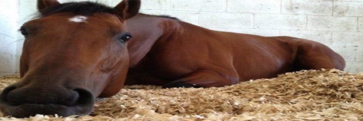 Eunregistered HyperCam 2 banner