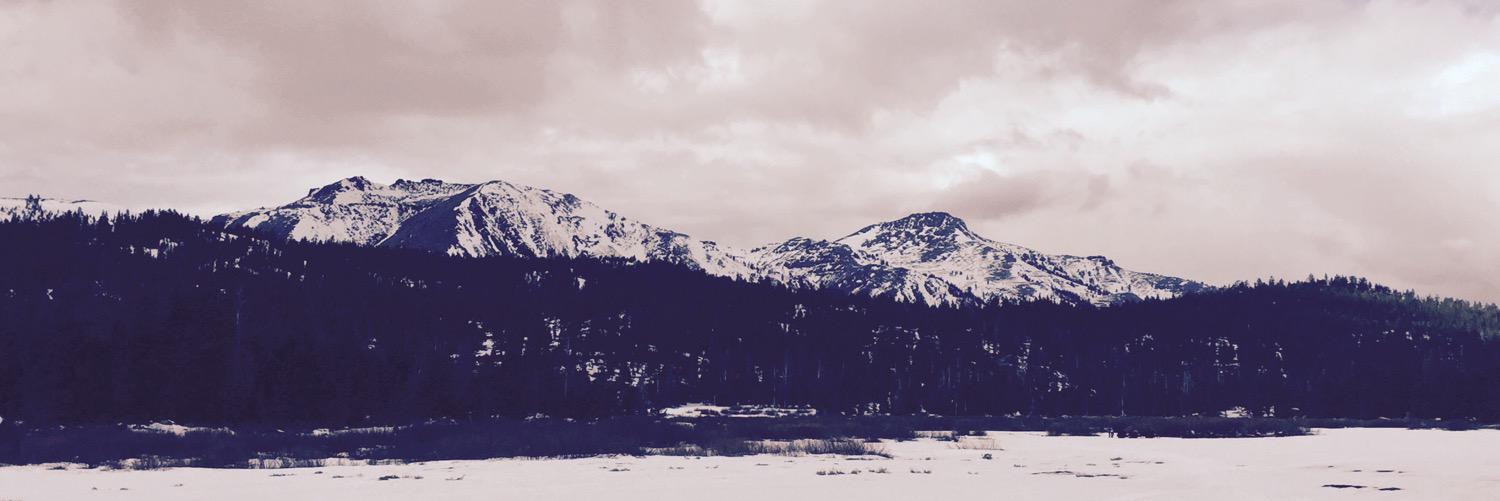 CatolaRyan's profile banner image