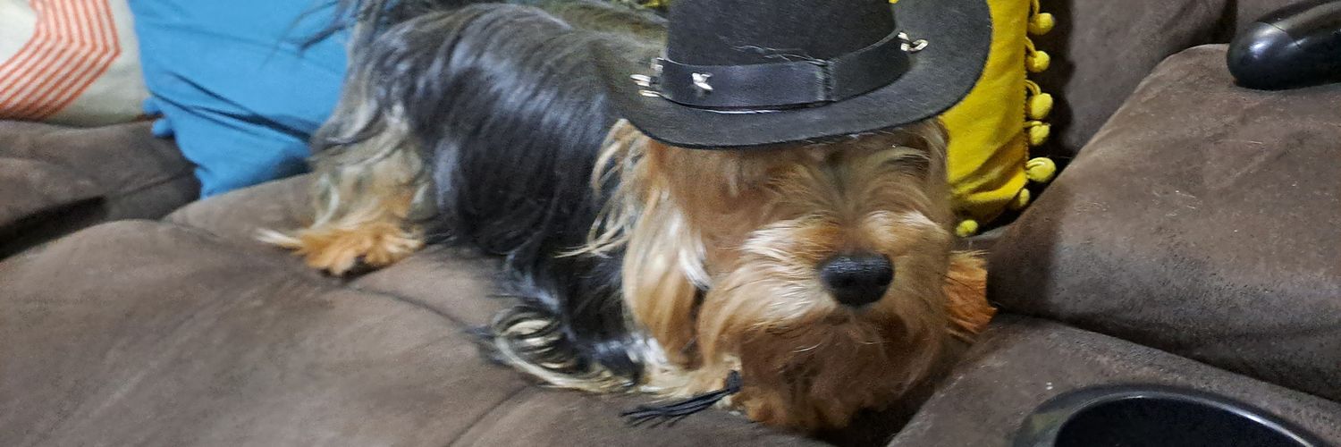 Perro con Sombrero de la U banner