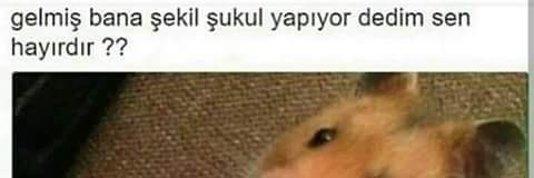 alidemirci321's profile banner image