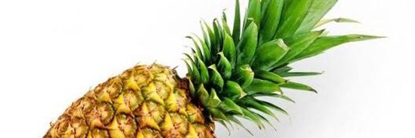 iamboismart Profile Banner