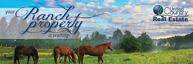 RiverCityRealty's profile banner image