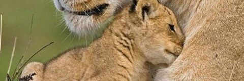 kaidy25's profile banner image
