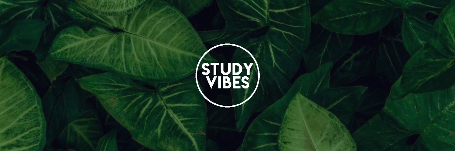 thestudyvibes's profile banner image