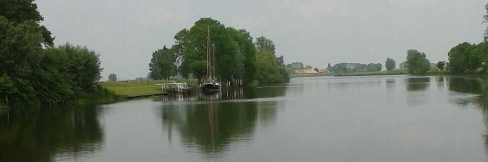 Dineke ten Hove banner