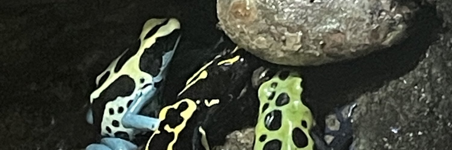 jake2gottlieb's profile banner image