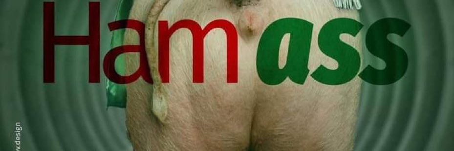 floridasunfun's profile banner image