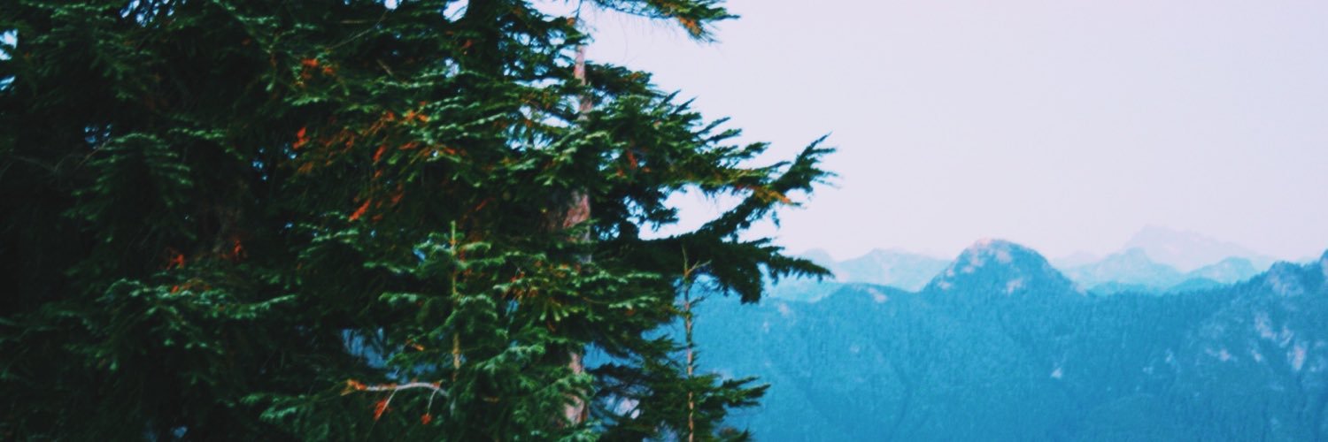 cattylou3's profile banner image