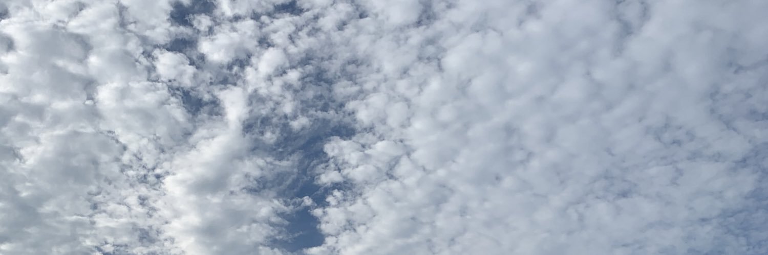 laurnsmit's profile banner image