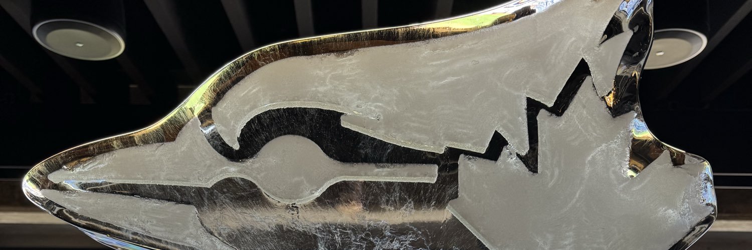 DJ Sanderson, RN, banner