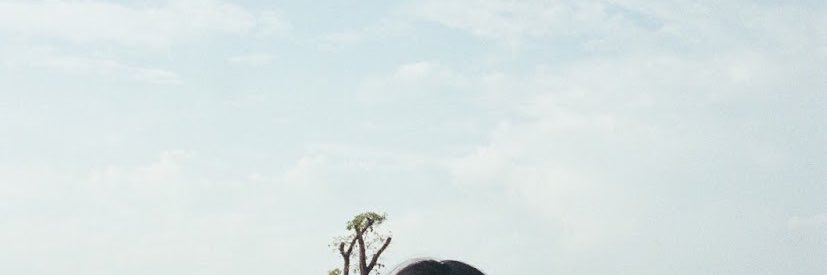 arink21's profile banner image